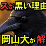 カラスはなぜあれほど黒い？｜岡山大が解明した”止まらないスイッチ”の正体